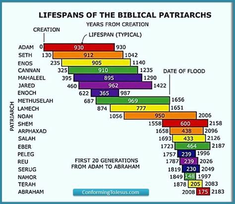 Bible timeline after adam chart - mazapplications