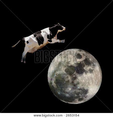 Cow Jumping Over Moon Image & Photo (Free Trial) | Bigstock