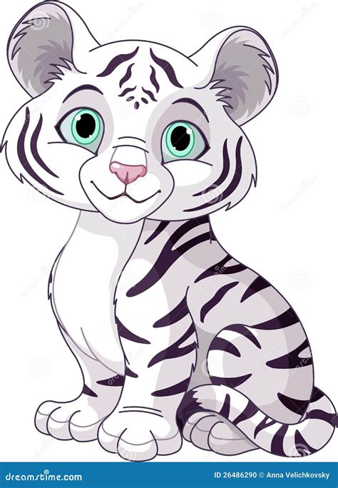 White Tiger Cub Stock Photo - Image: 26486290