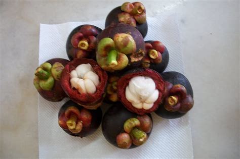 Garcinia indica HD wallpaper | Pxfuel