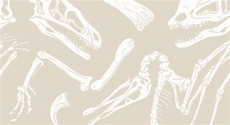 Dinosaur Skeleton Wallpapers - Wallpaper Cave