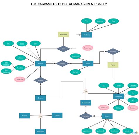 Er Diagram Tutorial | Complete Guide To Entity Relationship ...