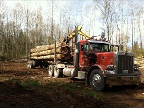 Classic 1978 Peterbilt 359 logging truck . - YouTube