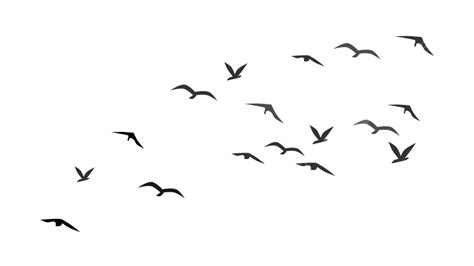 Flock Flying Birds Silhouette Vector, Flying Birds, Birds Flying, Birds ...