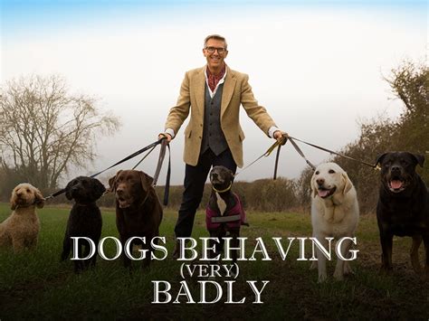 GRAEME HALL LEADS US INTO THE NEW YEAR WITH MORE DESPERATE DOG OWNERS ...