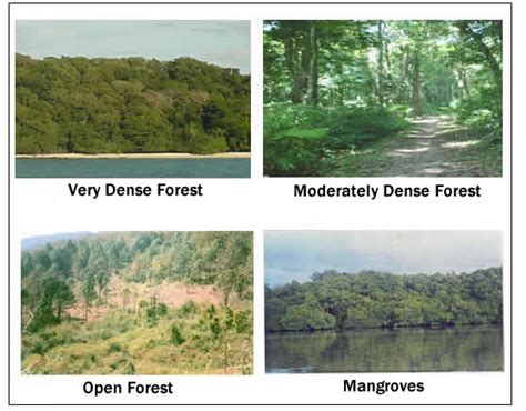 Welcome To Forest Survey of India