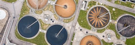 Bioaugmentation in Wastewater Treatment [GUIDE] - Monera Technologies