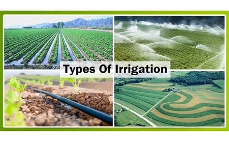 Types Of Irrigation | Methods Of Irrigation | What Is Irrigation