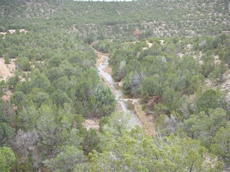 Cow Creek Stream Restoration - Aquatic Consultants