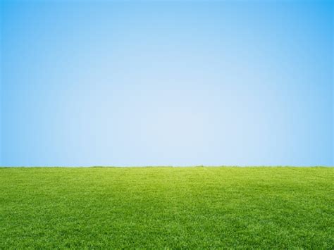 Premium Photo | Green grass or turf on blue sky background