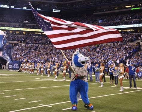 Colts' mascot Blue named mascot of the year