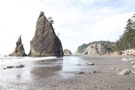 The Best Beaches of Olympic National Park - Janessa and Colin