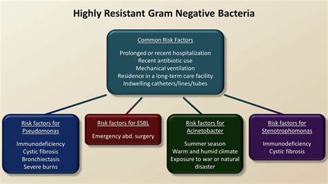 Antibiotics for Gram Negative Infections (Antibiotics - Lecture 5 ...