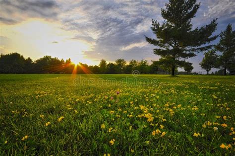 Sunset Landscape of an Empty Field Stock Image - Image of dawn, grass ...