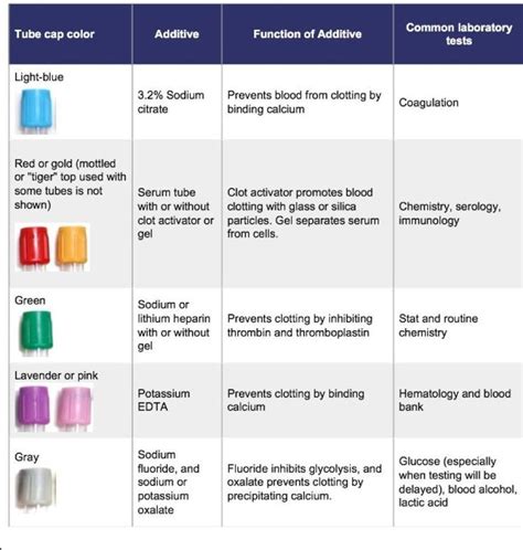 lab tube colors and tests - Karon Fenner