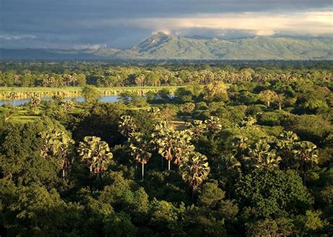 Visit Liwonde National Park in Malawi | Audley Travel