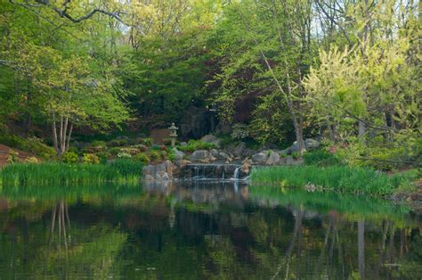 Atlanta | The Japanese garden at the Carter Center | Japanese garden ...