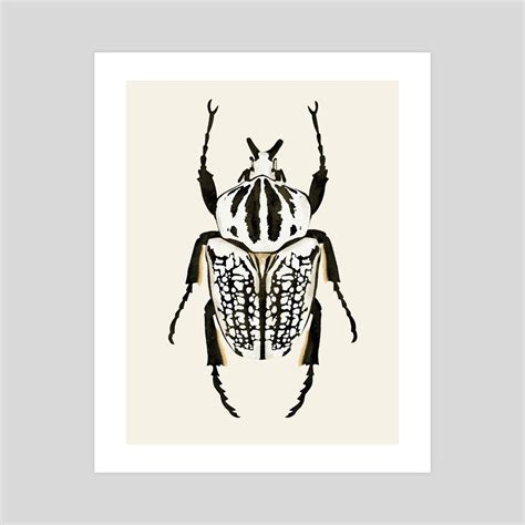 black and white beetle insect, an art print by ANA MARTÍNEZ - INPRNT