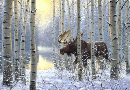 moose in winter - Other & Animals Background Wallpapers on Desktop ...