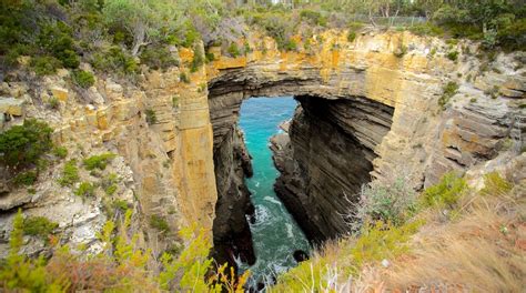 Tasman National Park in Tasmania - Tours and Activities | Expedia