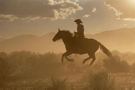 Running down a dream Photograph by Sigrid Zimaro - Fine Art America