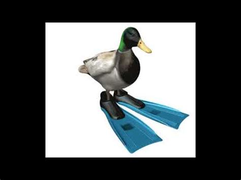 spinning duck meme - YouTube