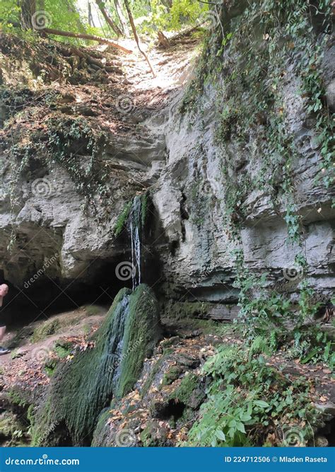 Mountain Rajac Serbia a Mountain Spring Stock Photo - Image of close ...