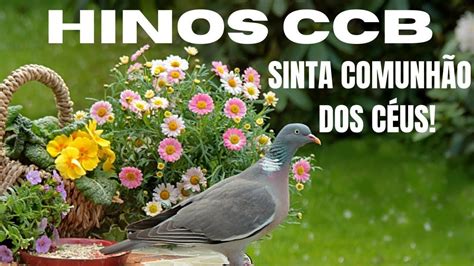 Belos Hinos CCB Cantados 2020 - sinta comunhão dos céus! - YouTube