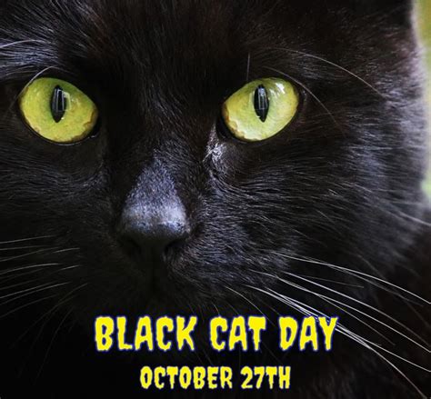 National Black Cat Day | National black cat day, Black cat day, Pet holiday