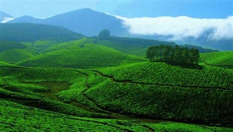 7 Best Hill Stations Near Wayanad One Must Definitely Visit!