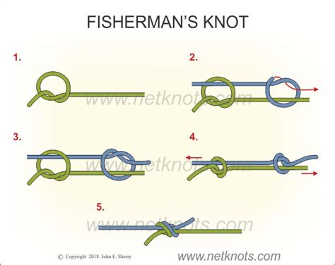 Double Fisherman Knot Function - Draw easy