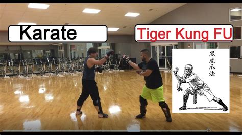 Real Kung Fu Fighting - Tiger Style Martial Arts Traditional, Authentic ...