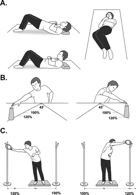 Intensive balance training. A Trunk training in the supine position. B ...