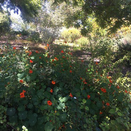 Conejo Valley Botanic Garden (Thousand Oaks): UPDATED 2021 All You Need ...