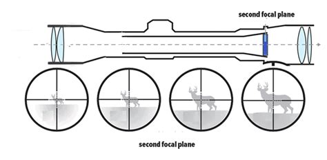 Optimum Power to Have in Scope to Take a 300 Yards Shot - Shrewd Hunter