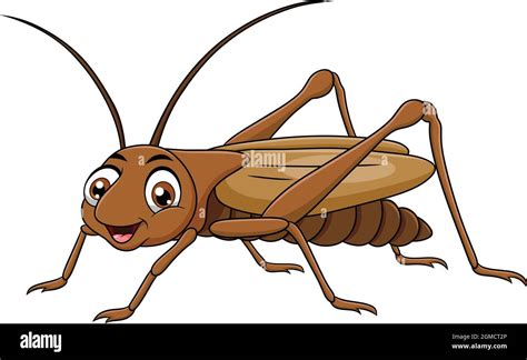 Cricket Bug Clipart Kids