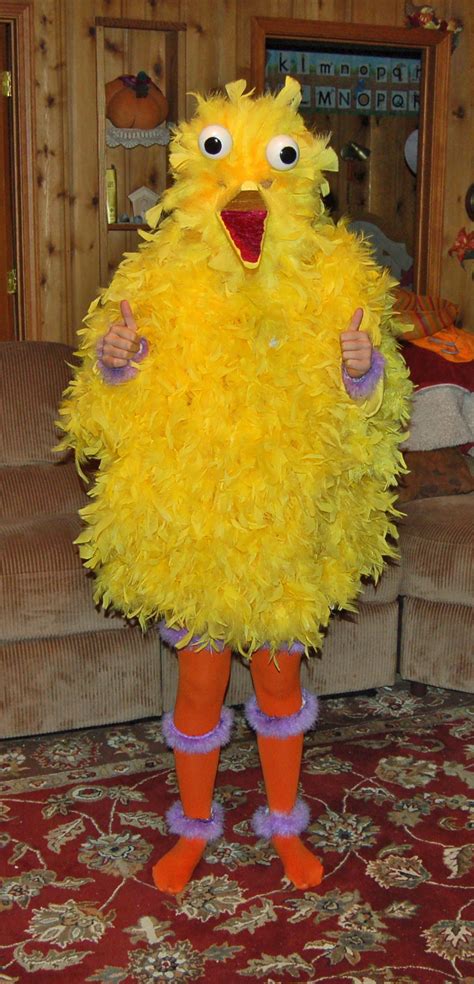 Big Bird for Claire Costumes | Costume Pop | Big bird costume, Big bird ...