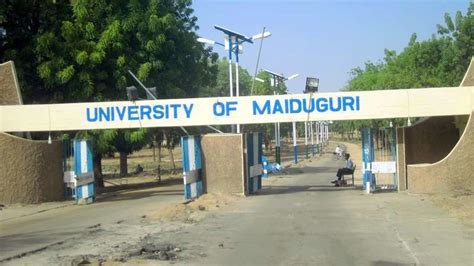 UNIMAID Postgraduate Admission List 2024/2025 unimaid.edu.ng