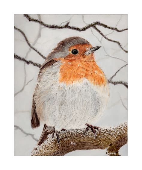 Robin Fine Art Giclee Print Robin Redbreast. - Etsy