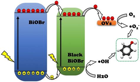 Proposed photocatalytic mechanisms in degradation of organic pollutants ...