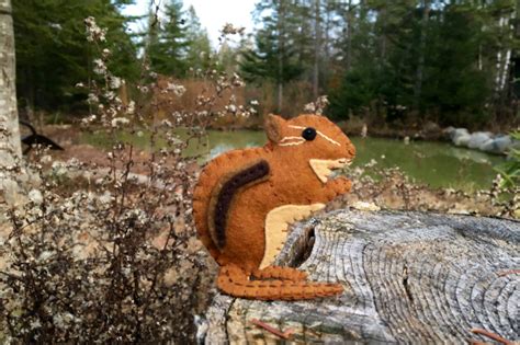 The Charming Chipmunk | Downeast Thunder Farm