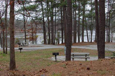 Shanna's Adventures: Campsite Selection at Stone Mountain Park Campground