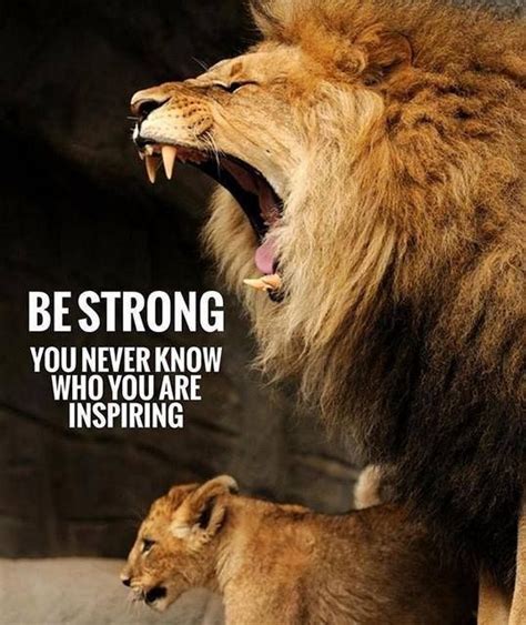 Lion quotes, Warrior quotes, Motivational quotes