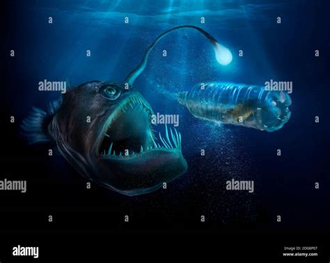 Deep sea hi-res stock photography and images - Alamy