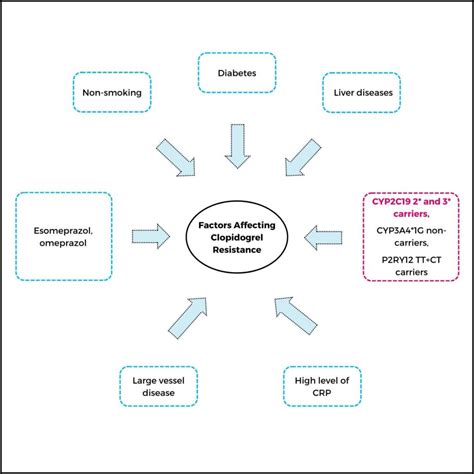 CYP2C19: The Key Gene For Drug Breakdown?