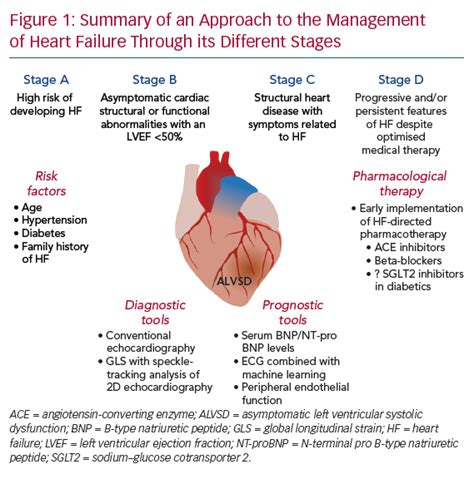 Summary of an Approach to the Management of Heart Failure Through its ...