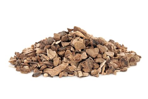 Wild Yam Root Dioscorea Villosa (Wild Yam) Root Extract - Botanical ...