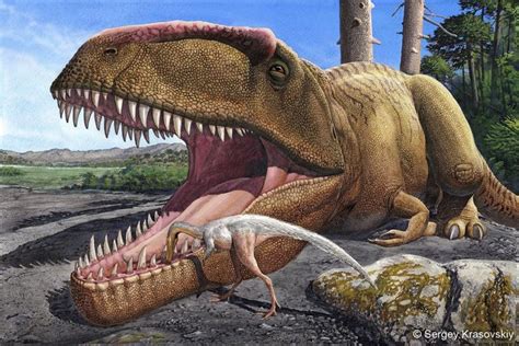 Giganotosaurus Was Bigger Than T. Rex, but Still in Its Shadow ...