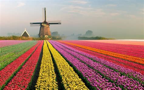 Colorful Destinations Around the World | Tulip fields netherlands ...