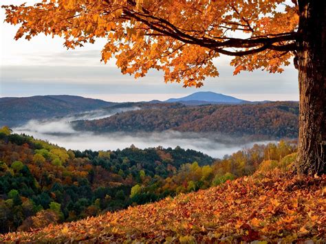 Vermont Fall Foliage Wallpapers - Top Free Vermont Fall Foliage ...